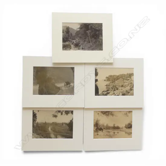 Five various 19thC Tyree of Nelson vintage photographs includes,