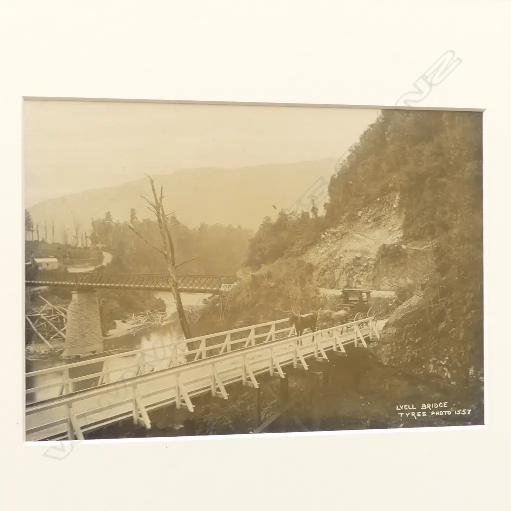 Five various 19thC Tyree of Nelson vintage photographs includes, 'Buller from Melrose', 'Near Hawkes Crag, Buller', 'Dredging on the Buller', 'Near Ferry, Westport Road', Lyell Bridge' Image 1++