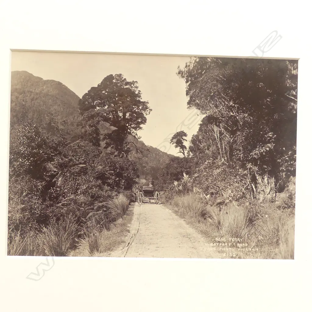 Five various 19thC Tyree of Nelson vintage photographs includes, 'Buller from Melrose', 'Near Hawkes Crag, Buller', 'Dredging on the Buller', 'Near Ferry, Westport Road', Lyell Bridge' Image 1++