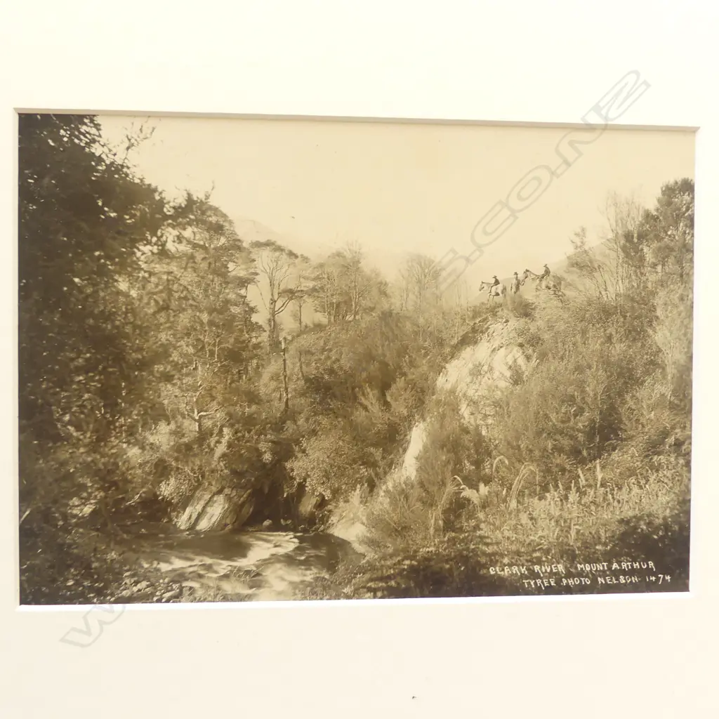 Four various 19thC Tyree of Nelson vintage photographs includes, 'Rai Falls', 'Clark River, Mount Arthur (men on horses)', 'Mount Arthur (cattle)', 'Matai Breakwater' Image 1++