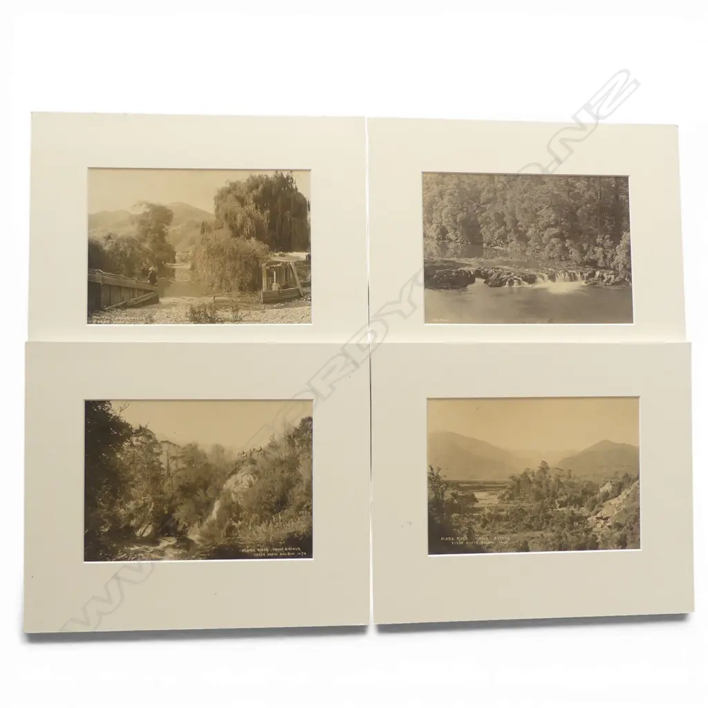 Four various 19thC Tyree of Nelson vintage photographs includes, 'Rai Falls', 'Clark River, Mount Arthur (men on horses)', 'Mount Arthur (cattle)', 'Matai Breakwater' Image 1++