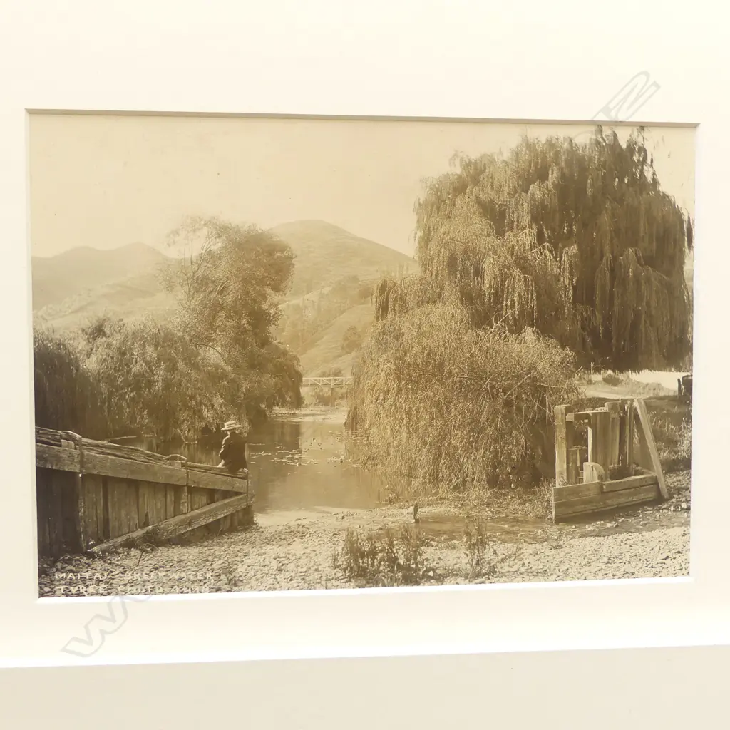 Four various 19thC Tyree of Nelson vintage photographs includes, 'Rai Falls', 'Clark River, Mount Arthur (men on horses)', 'Mount Arthur (cattle)', 'Matai Breakwater' Image 1++