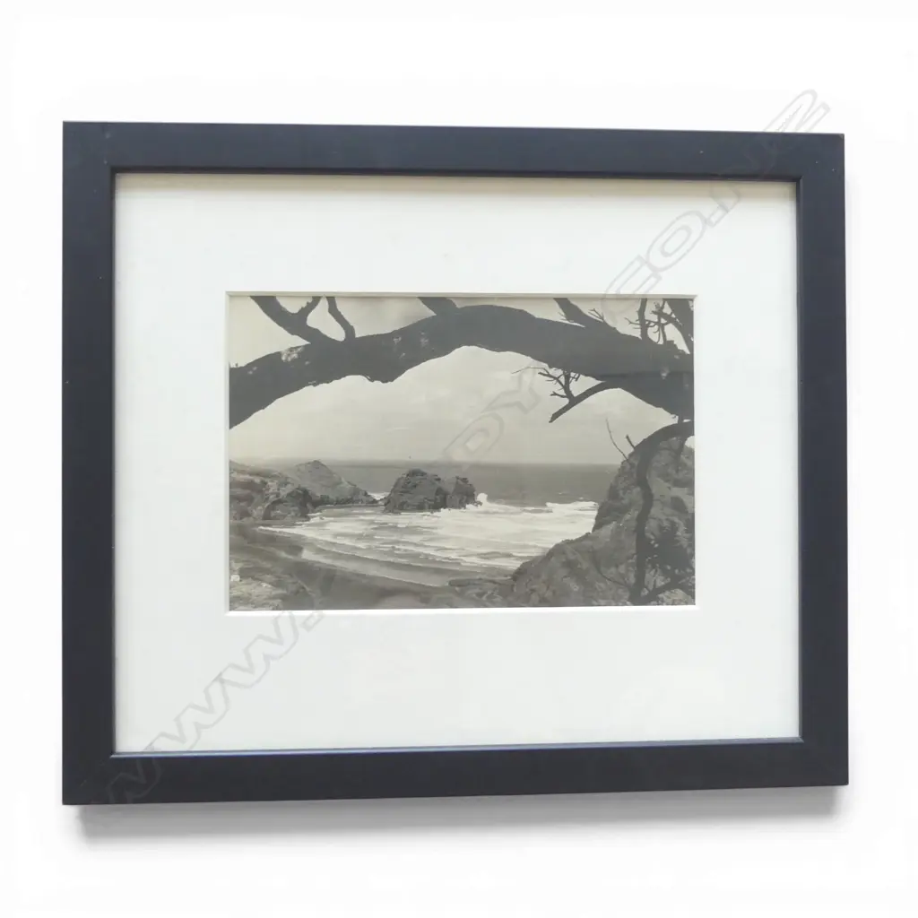 A vintage photograph of Piha Beach looking to Lion Rock, Image 1++