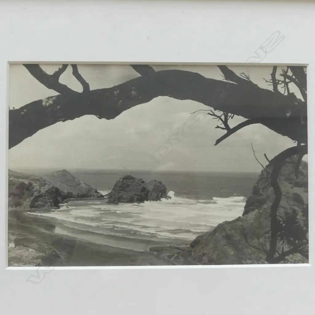 A vintage photograph of Piha Beach looking to Lion Rock, Image 1++