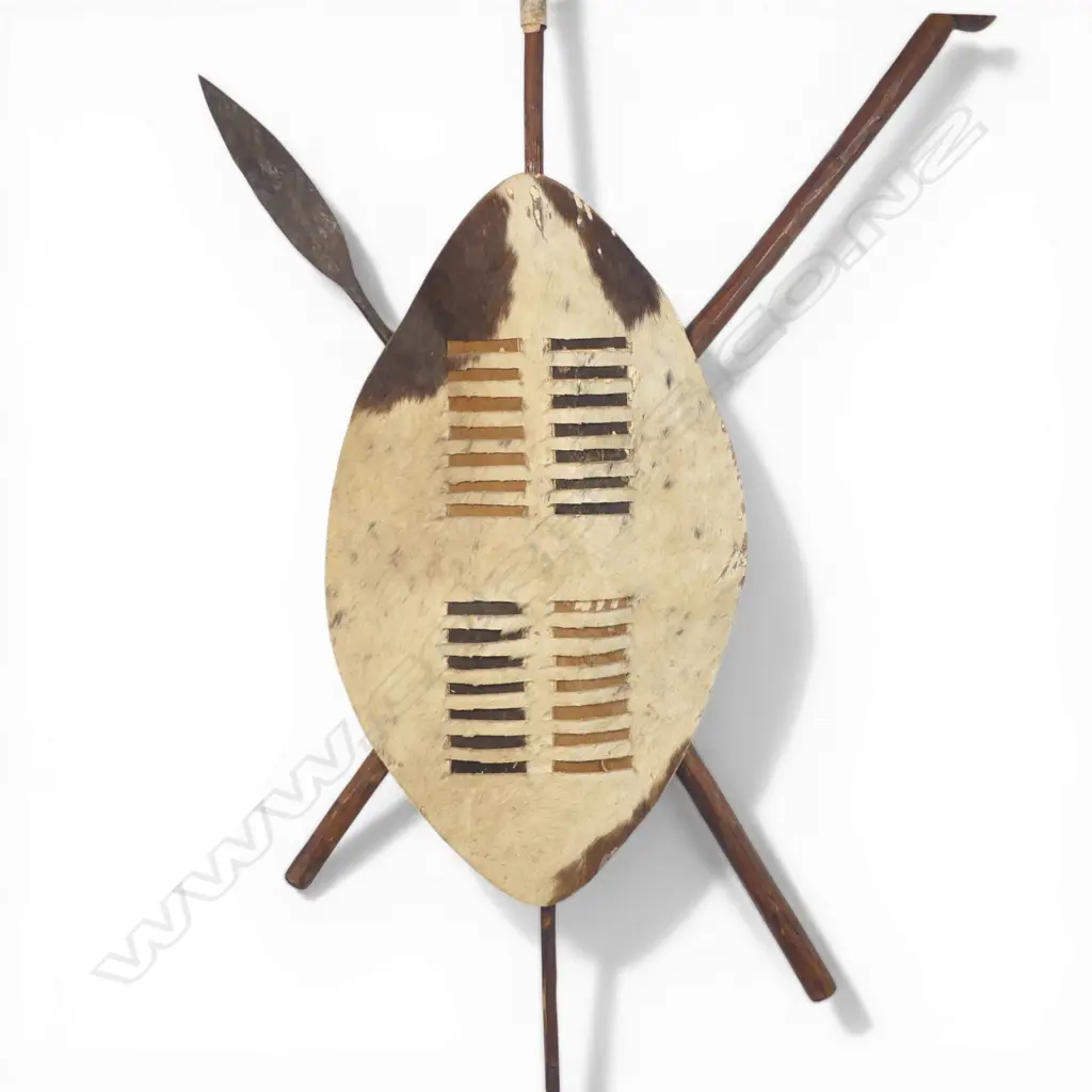 South African Zulu shield (isihlangu), Image 1++