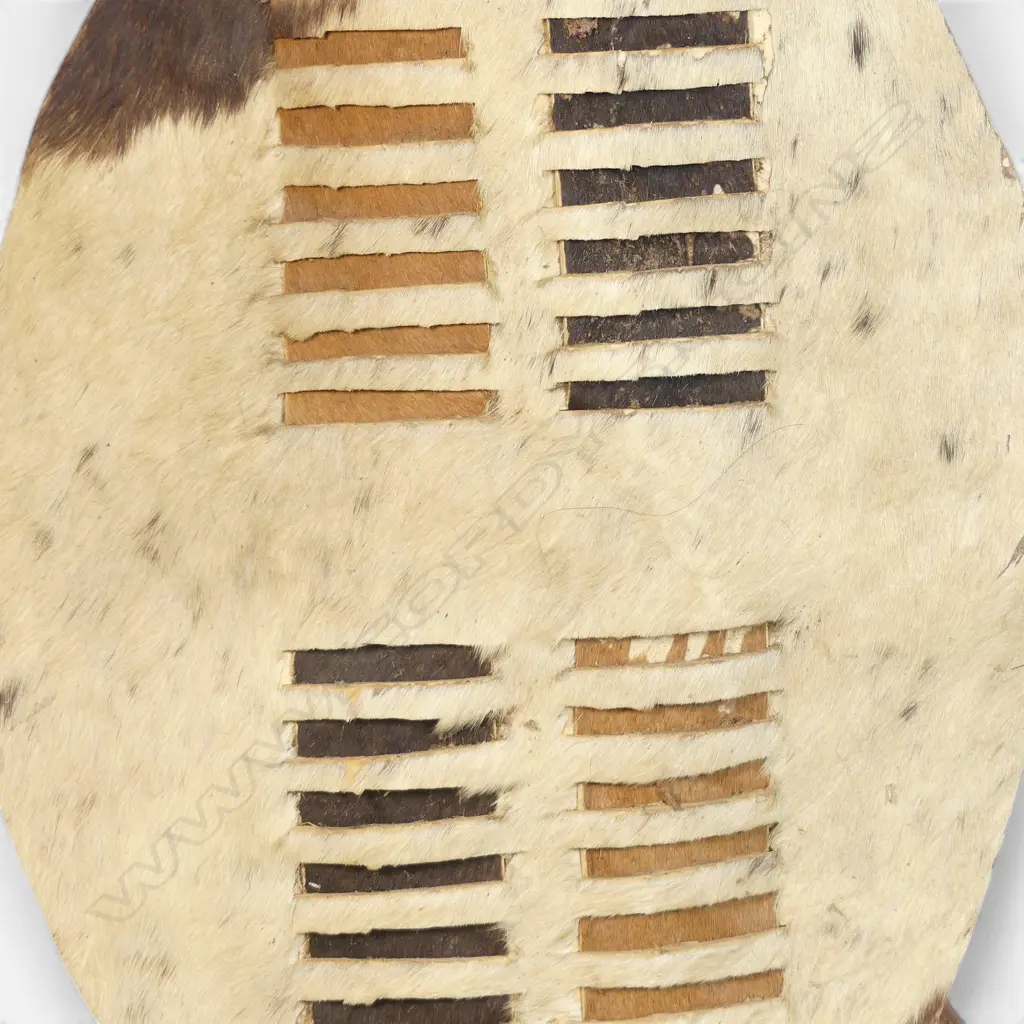 South African Zulu shield (isihlangu), Image 1++