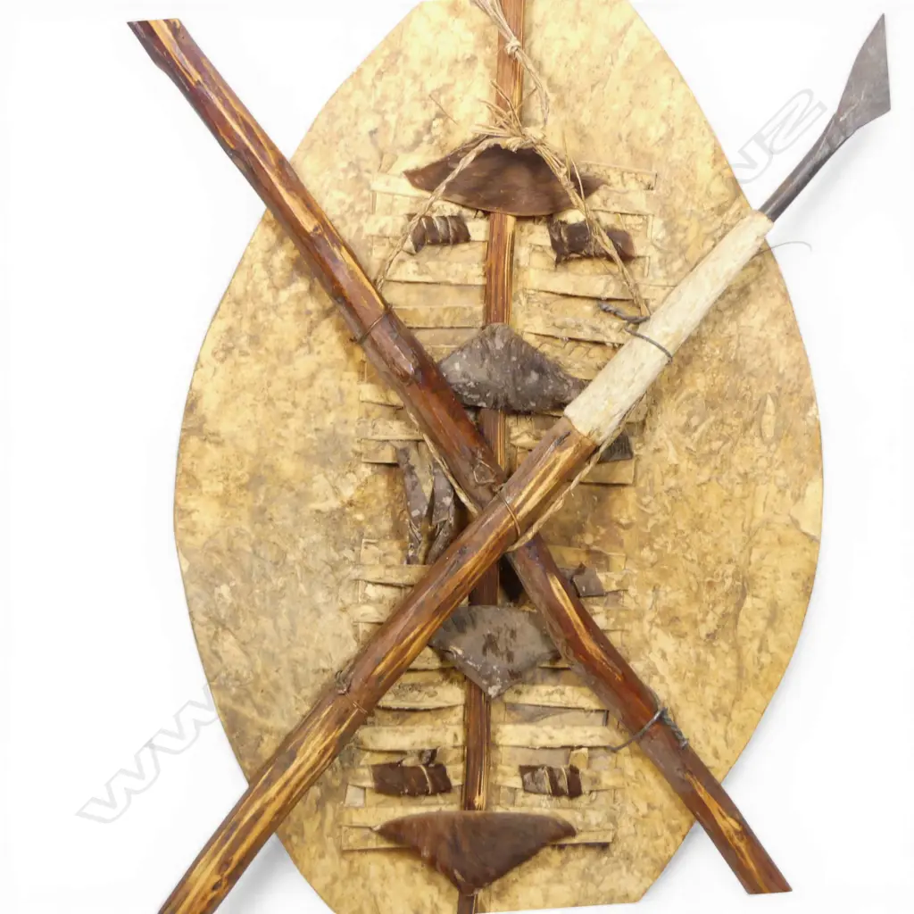 South African Zulu shield (isihlangu), Image 1++