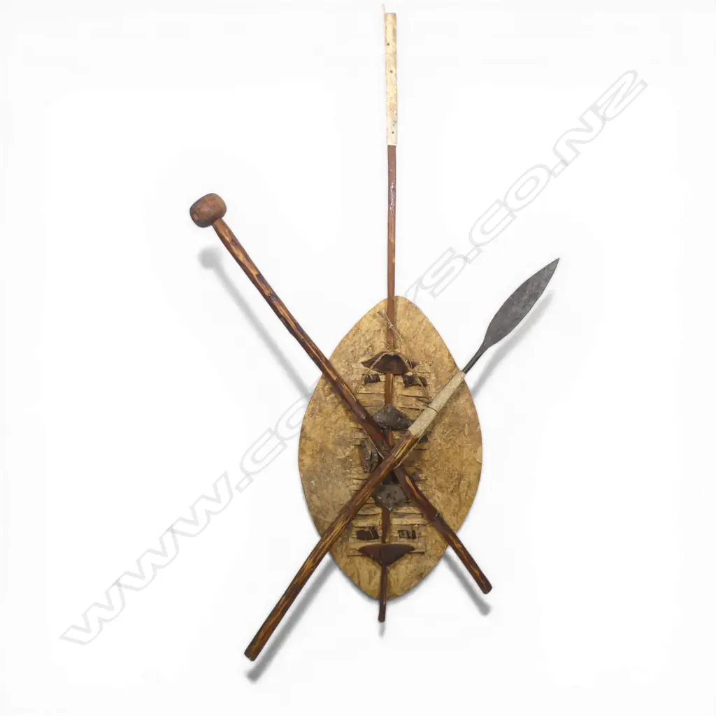 South African Zulu shield (isihlangu), Image 1++