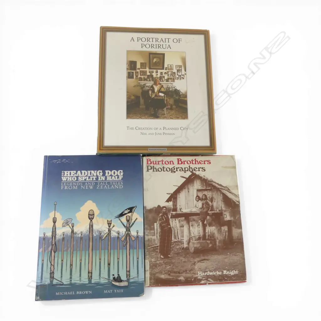 Three books on New Zealand, Image 1++