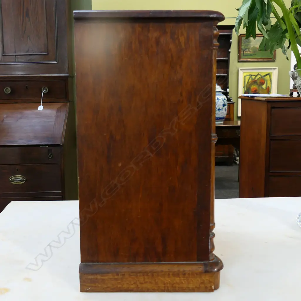 A good New Zealand colonial woods apprentice chest, Image 1++