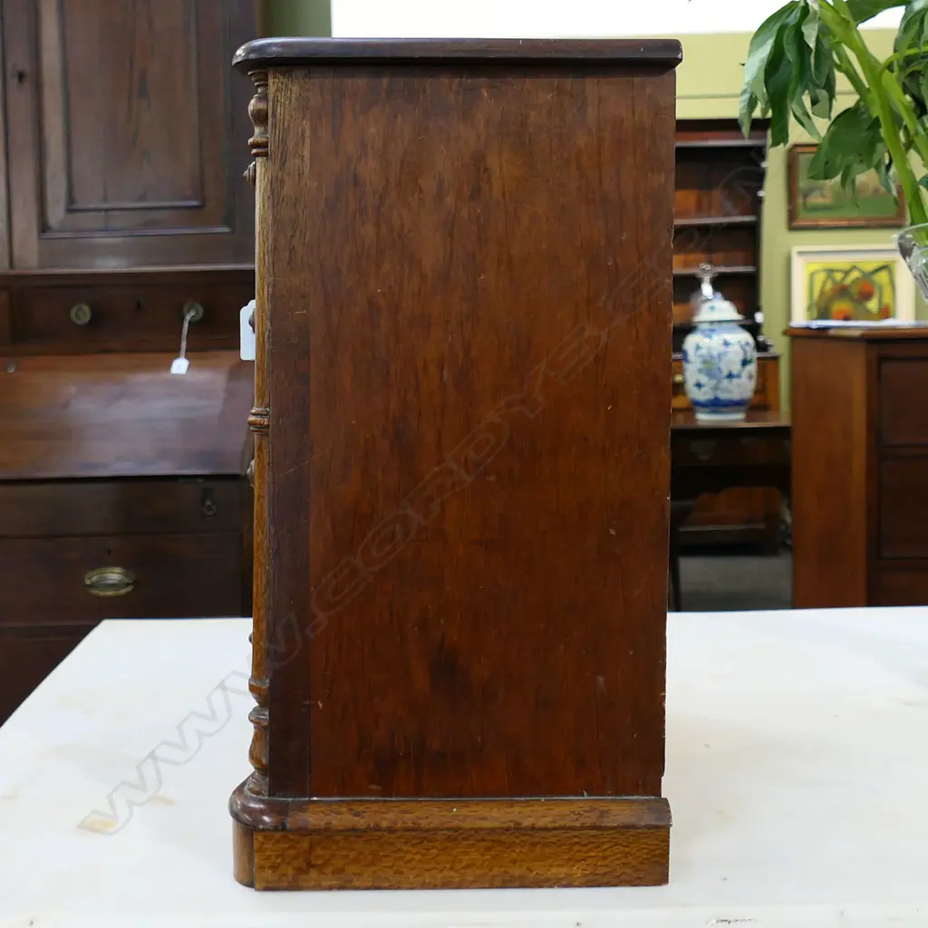 A good New Zealand colonial woods apprentice chest, Image 1++