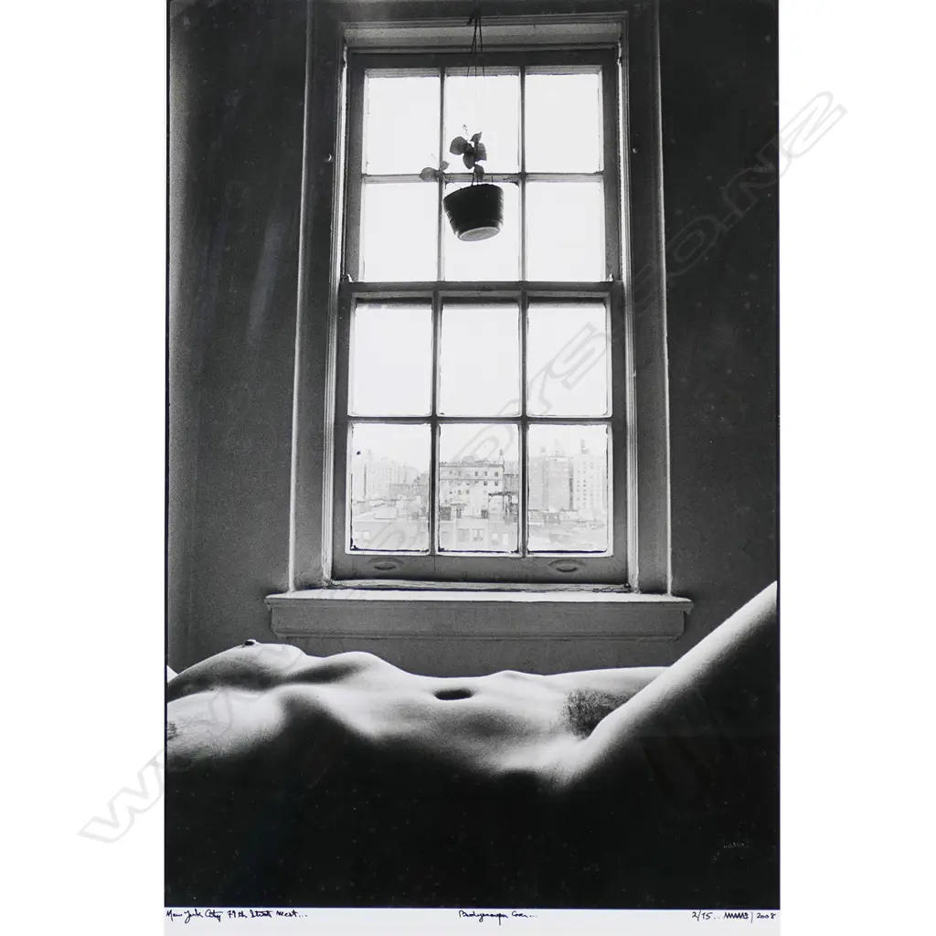 Martin H.M. Schreiber (Czech-American 1946-) 'New York City 79th Street West Bodyscapes Cover', Image 1++