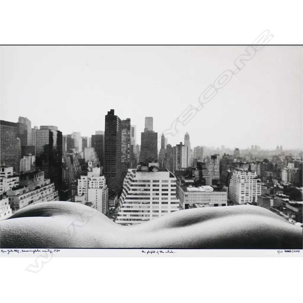 Martin H.M. Schreiber (Czech-American 1946-) 'New York City, Bloomingdale Country, 1980 The Plight of the Whale', Image 1++