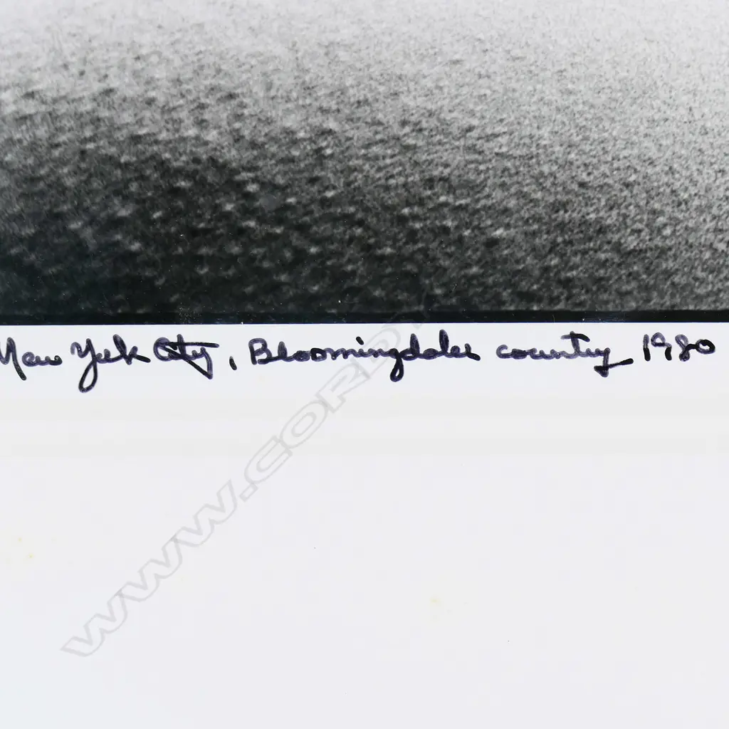 Martin H.M. Schreiber (Czech-American 1946-) 'New York City, Bloomingdale Country, 1980 The Plight of the Whale', Image 1++
