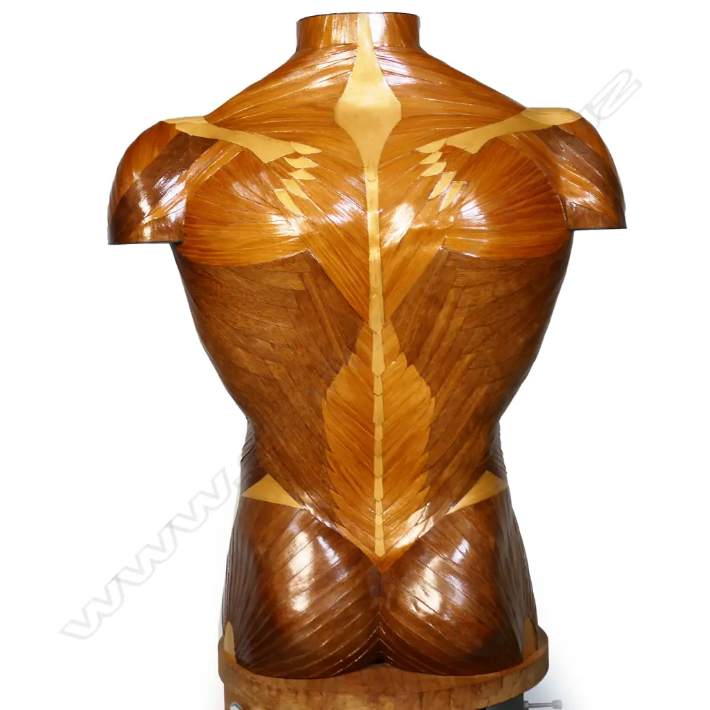 A unique custom-made male torso gentleman's chest/dressing stand by Szczepan Urbanowizc, Image 1++