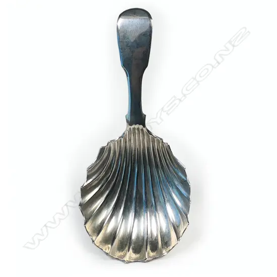A George IV silver caddy spoon,