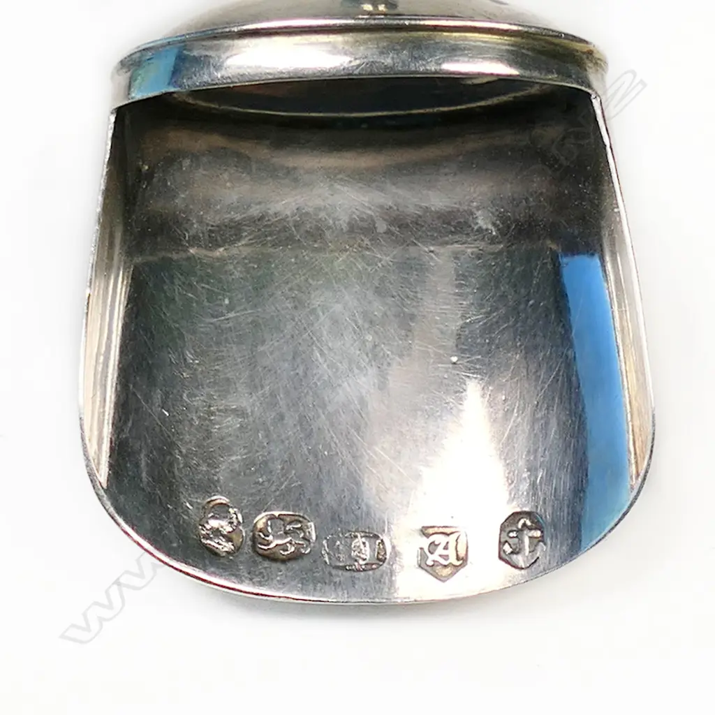 A George III silver and long bone handled tea caddy shovel spoon, Image 1++