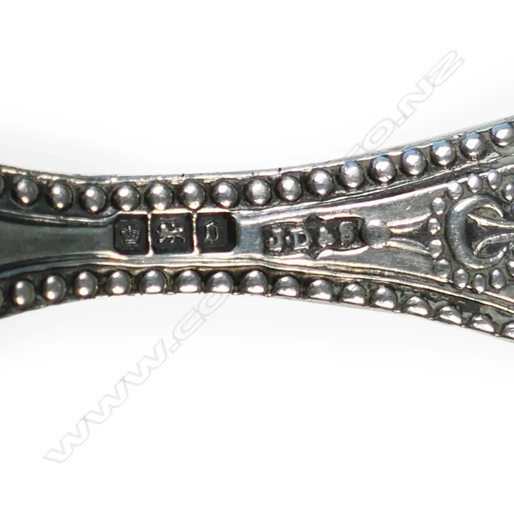 Edwardian cast silver shell bowl caddy spoon, Image 1++