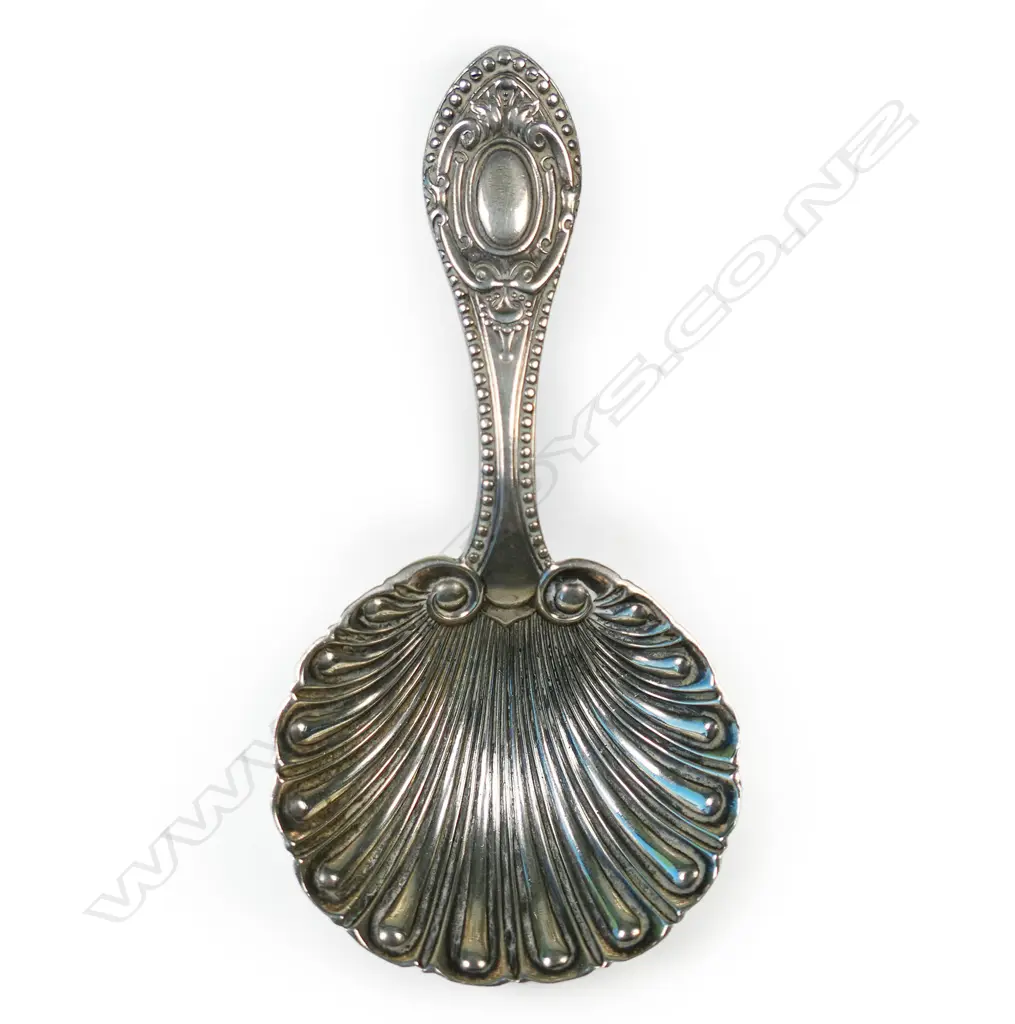 Edwardian cast silver shell bowl caddy spoon, Image 1++