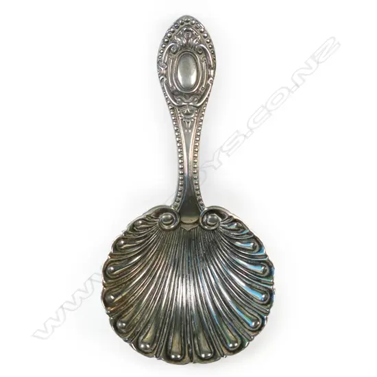 Edwardian cast silver shell bowl caddy spoon,