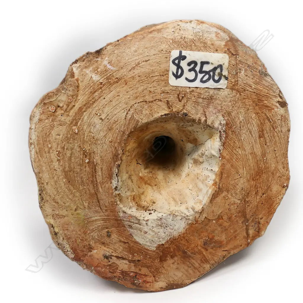 Bronwyn Cornish (1945-) Standing Female figure, Image 1++