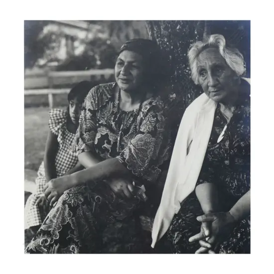 Ans Westra (1936-2023) 'Koriniti Marae (Whanganui area) after Unveiling' (1979), gelatin silver print, signed with artist's initials A.W. Artist's label verso. 265 x 253mm. Note: After arriving in the country from her native Holland, Westra made her first trip up the Whanganui River in 1960 and began an engagement with the people of the region that continued through her life.