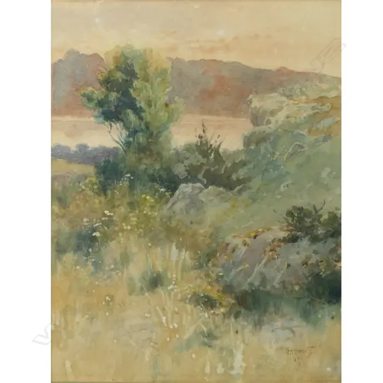 Charles Henry Howorth (NZ 1856-1945), New Zealand Coastal landscape,