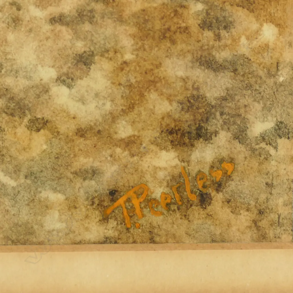 Tom Peerless (1858-96), Image 1++