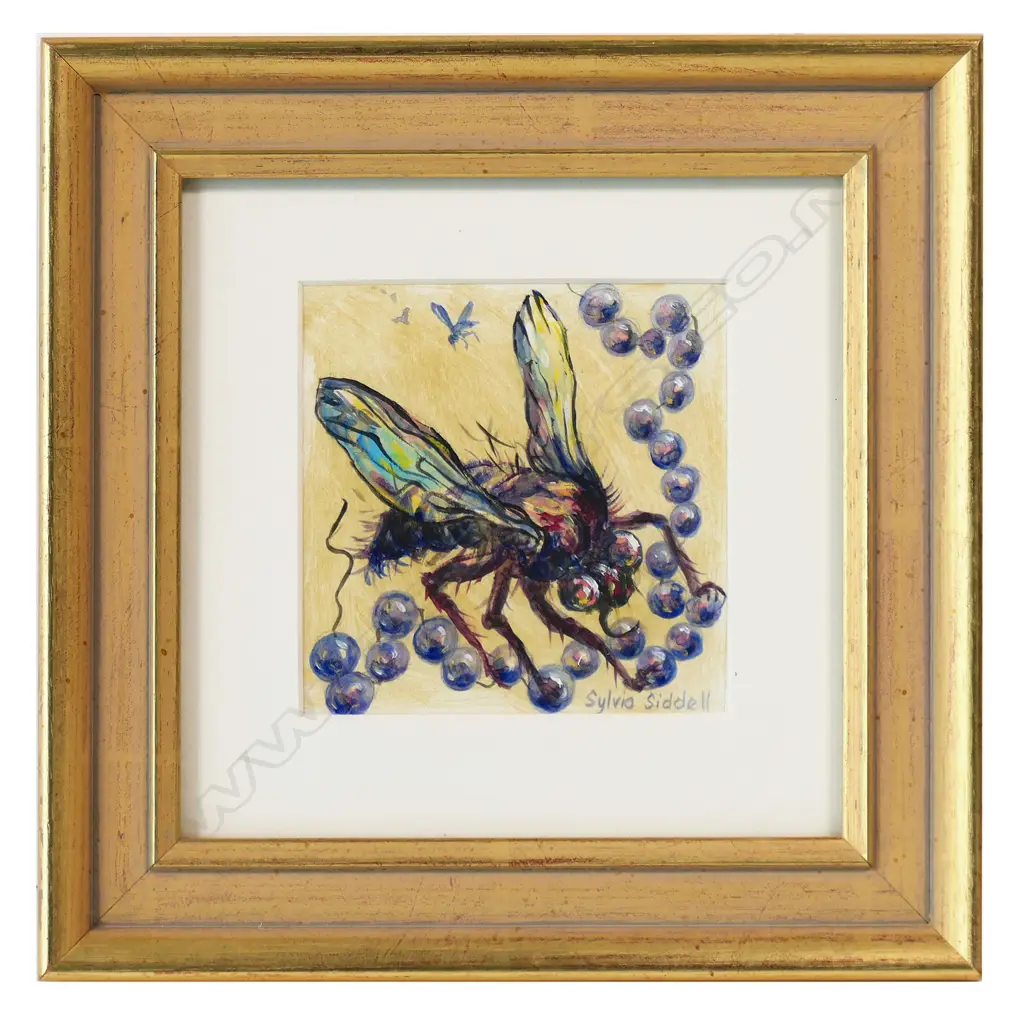 Sylvia Siddell (1941-2011) 'Fly', Image 1++