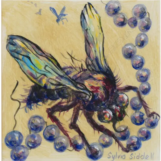 Sylvia Siddell (1941-2011) 'Fly',