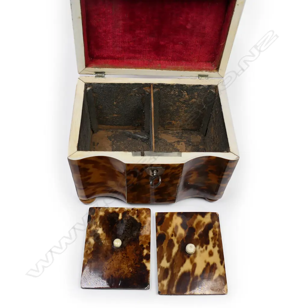 A small George III/early Victorian tortoiseshell casket form tea caddy, Image 1++