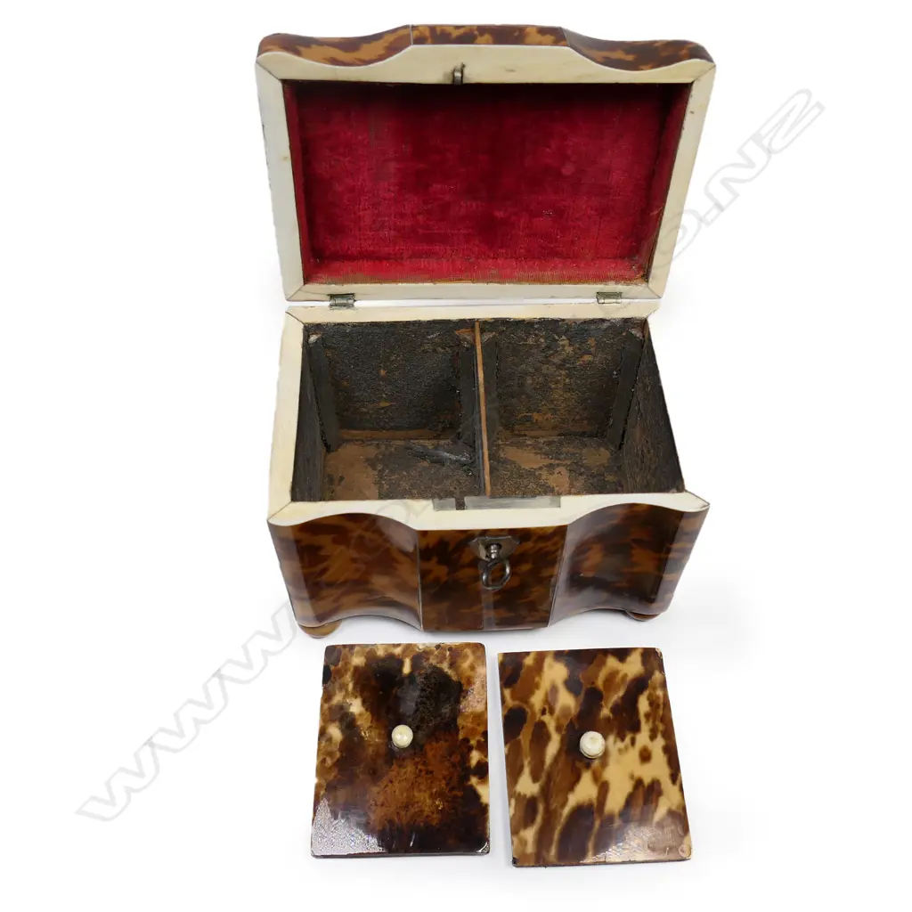 A small George III/early Victorian tortoiseshell casket form tea caddy, Image 1++