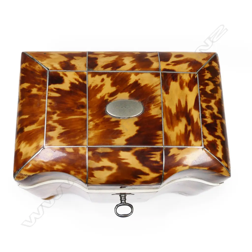 A small George III/early Victorian tortoiseshell casket form tea caddy, Image 1++