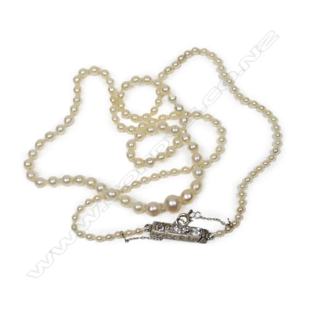 A single strand pearl necklace, Image 1++
