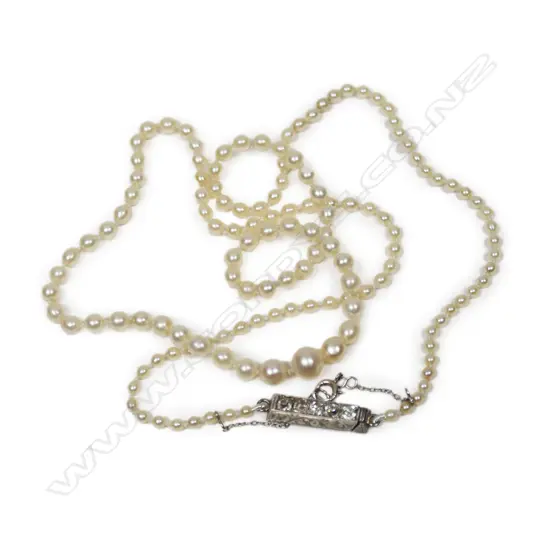 A single strand pearl necklace,