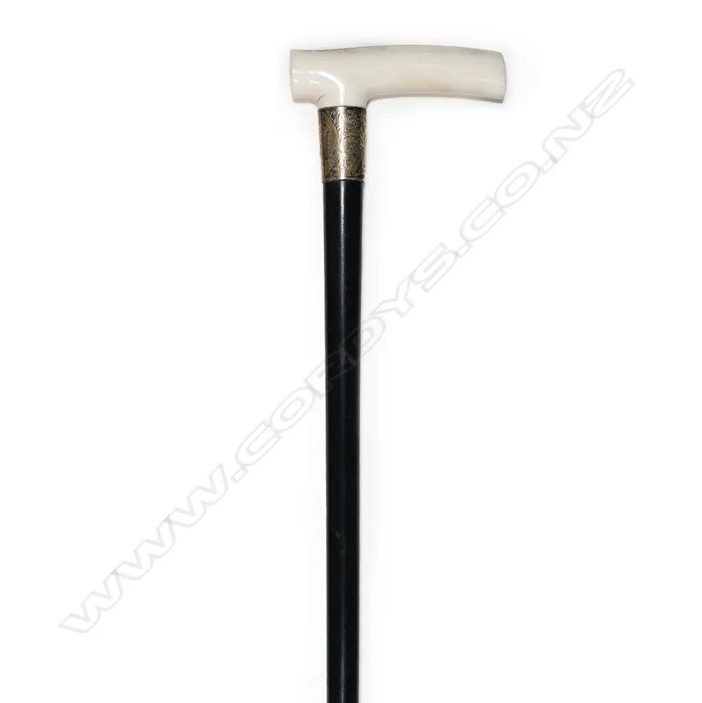 An early 1900s walking cane, Image 1++