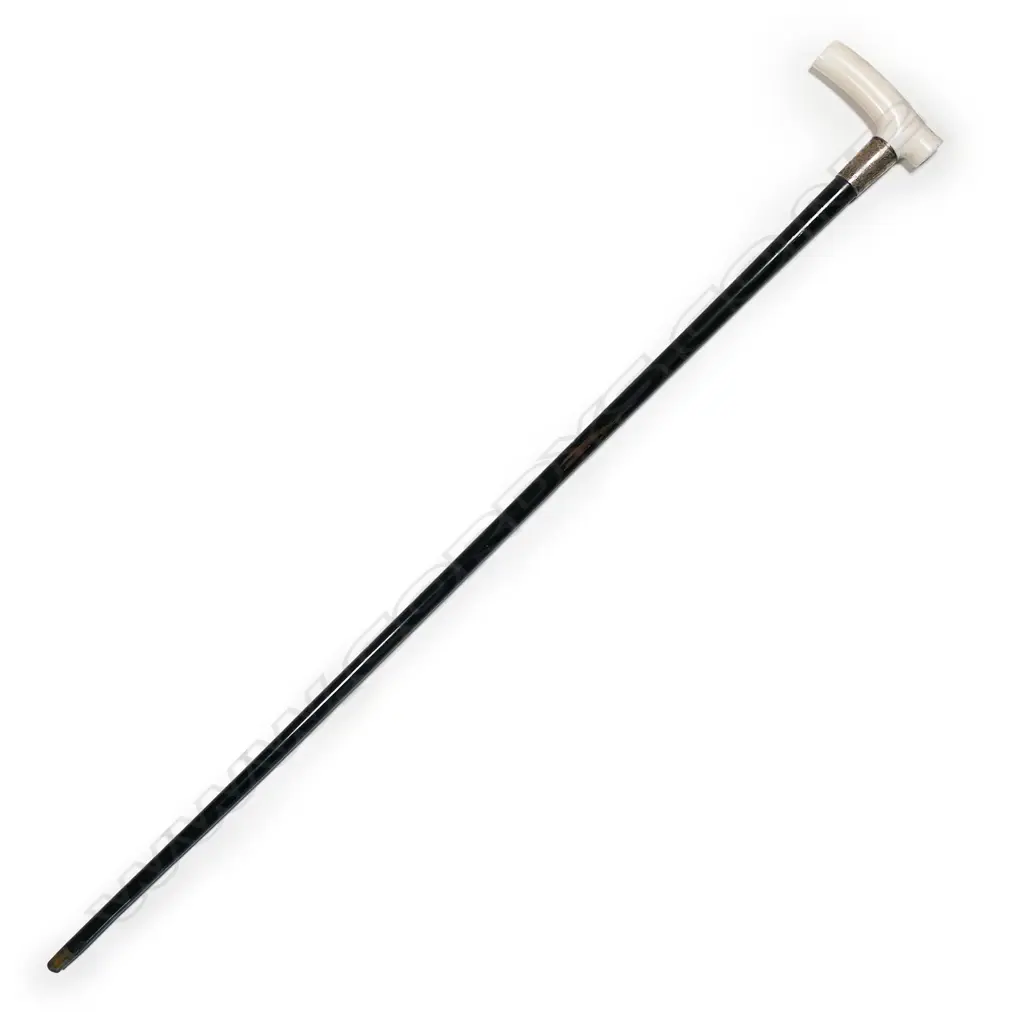 An early 1900s walking cane, Image 1++