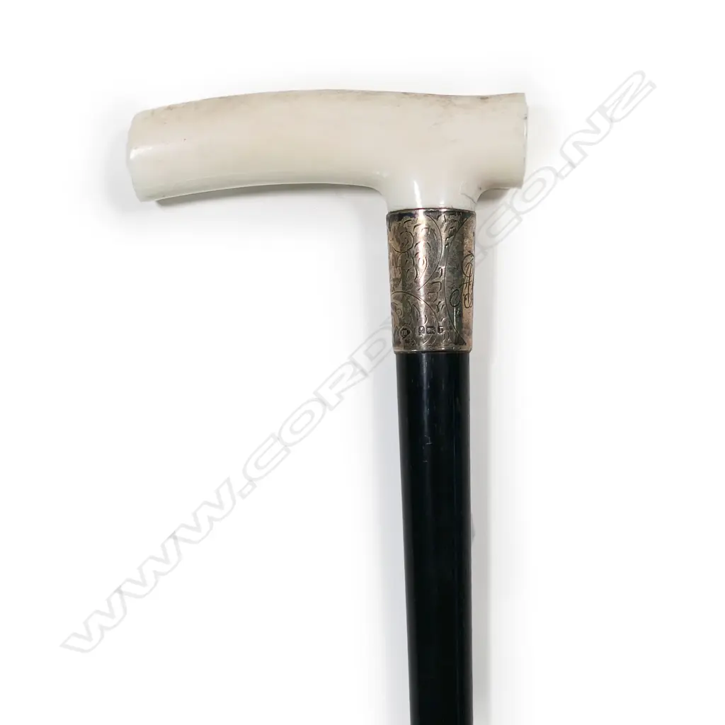 An early 1900s walking cane, Image 1++