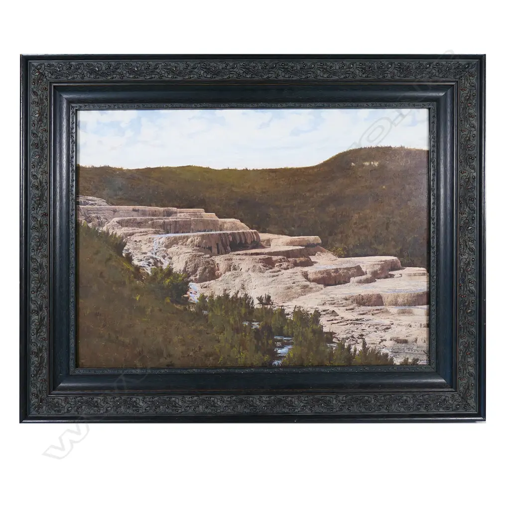 A pair of large format hand-coloured Pink and White Terraces photographs, Image 1++