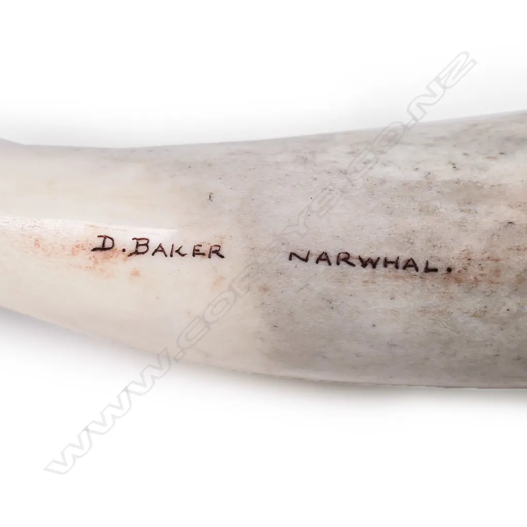 Des Baker carved whale bone sculpture of a narwhal, Image 1++