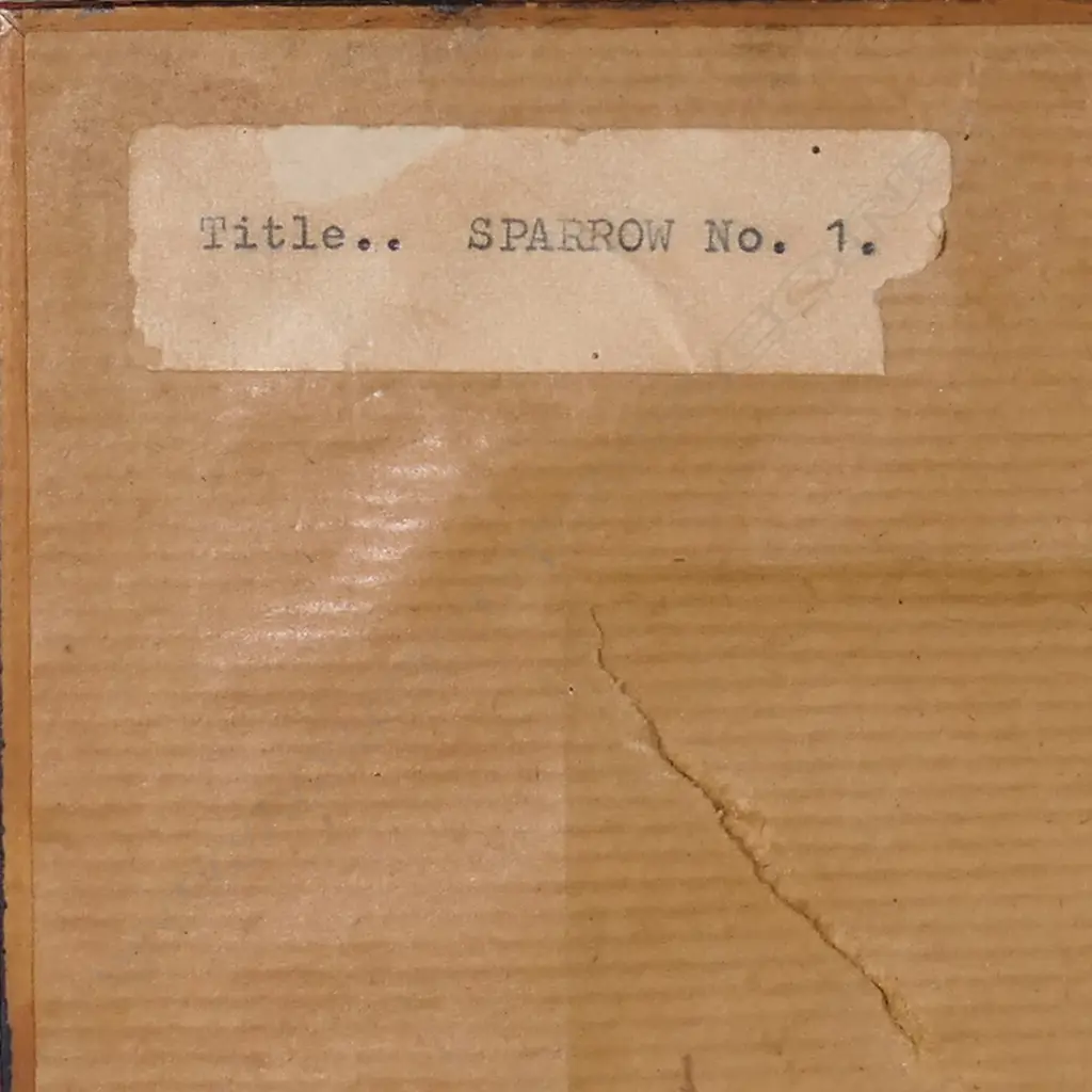 Suzanne Goldberg (1940-99), Image 1++