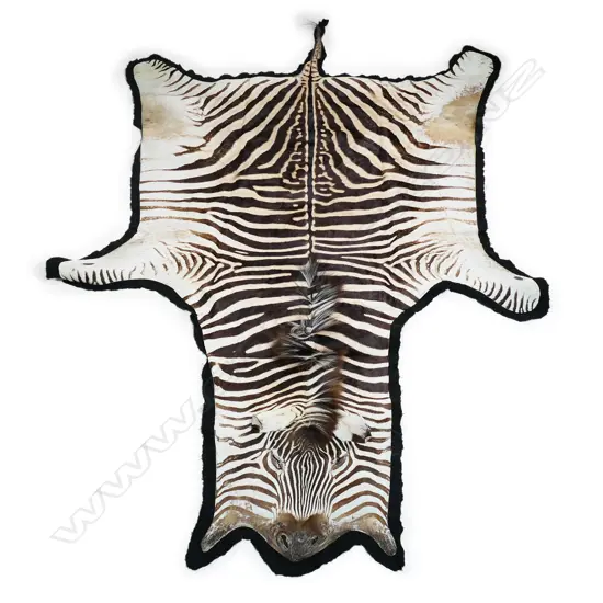 A vintage zebra skin rug,