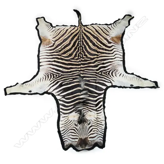 A vintage zebra skin rug,