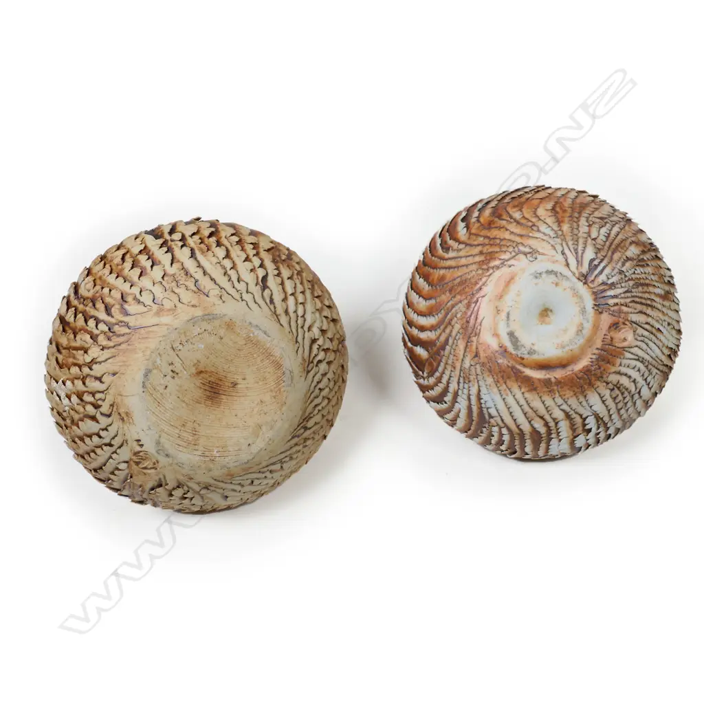 Two Doris Dutch pottery specimen vases, Image 1++