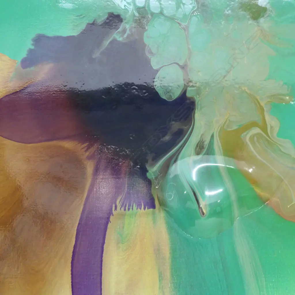 Dale Frank (Aus 1959-), Image 1++