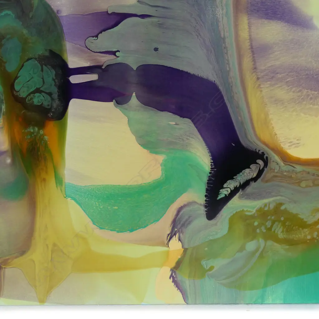 Dale Frank (Aus 1959-), Image 1++
