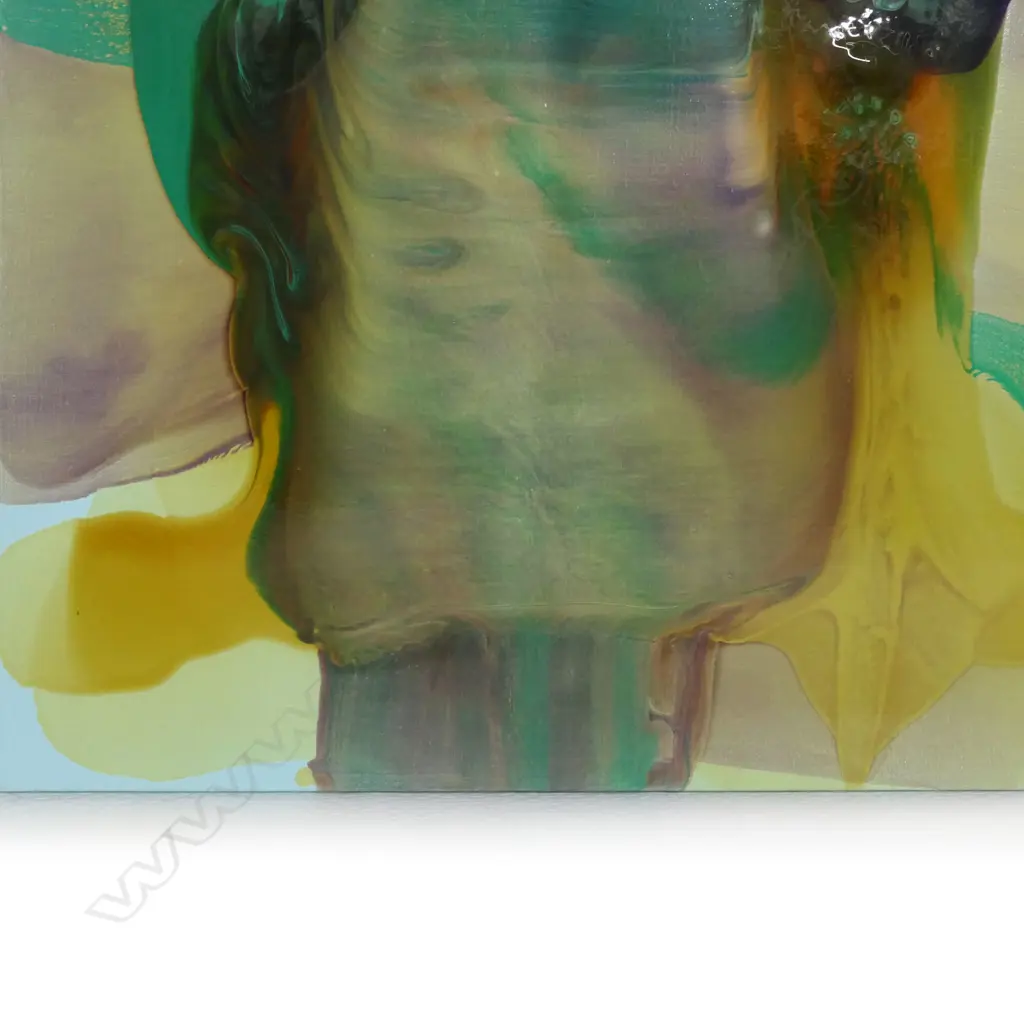 Dale Frank (Aus 1959-), Image 1++