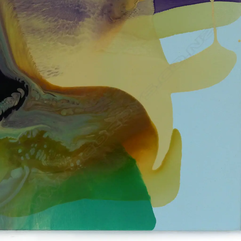Dale Frank (Aus 1959-), Image 1++