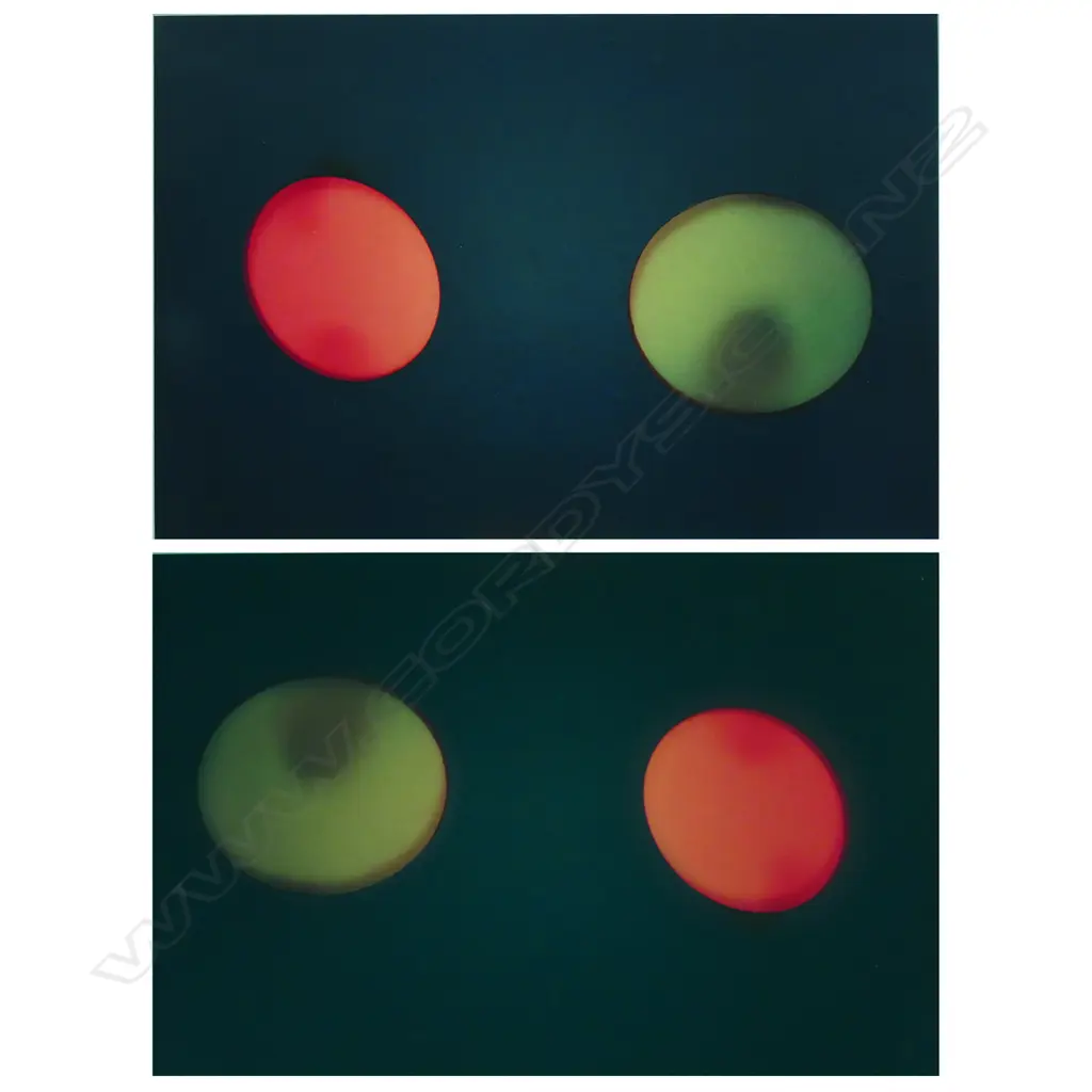 Gavin Hipkins (1968-), Image 1++