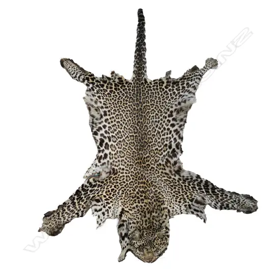 A vintage leopard skin rug,